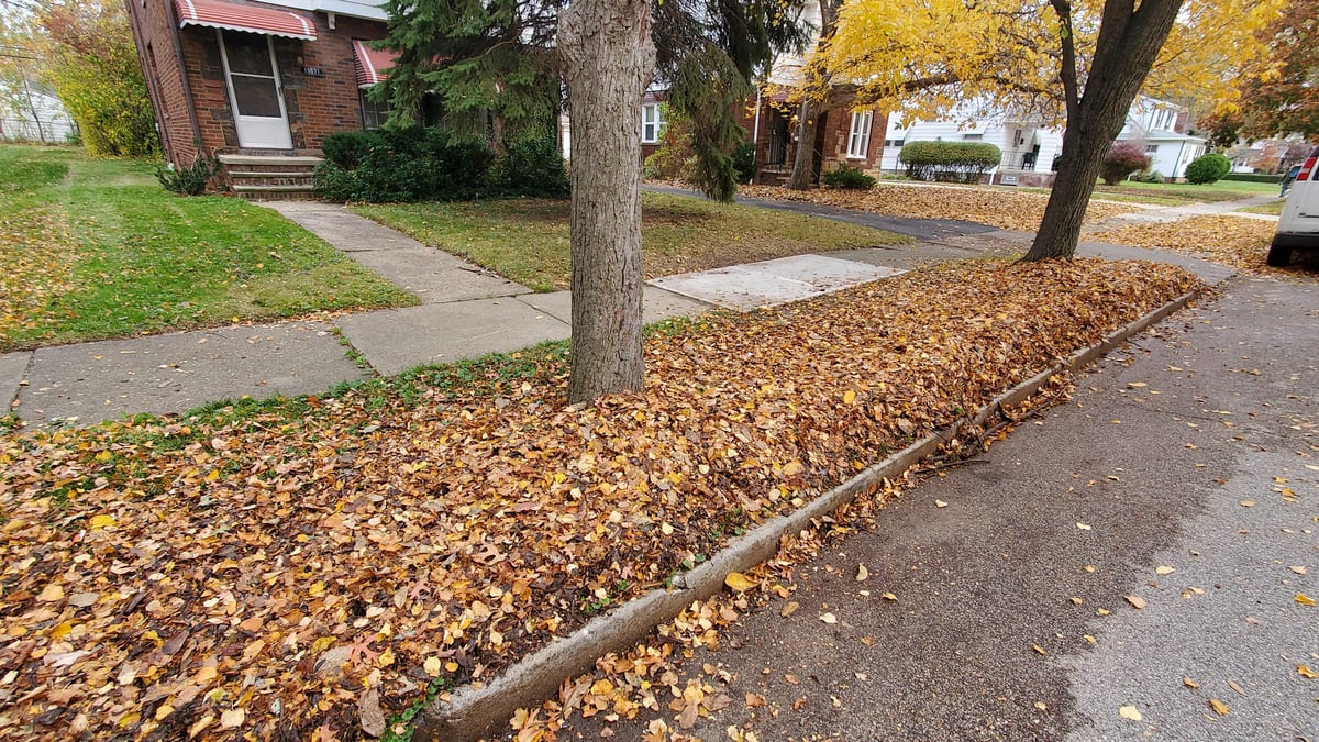 Leaves blew curbside for city pickup at a home in Euclid, Ohio by Kevin J Services LLC