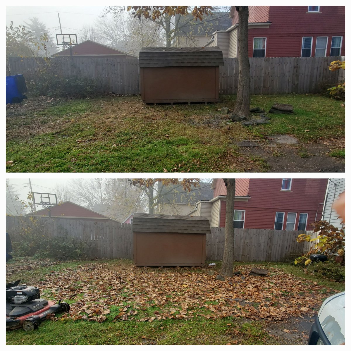 After and after picture showing that Leaves left too long on lawn can kill the grass. Leaves on lawn was mulched with lawnmower by Kevin J Services LLC.